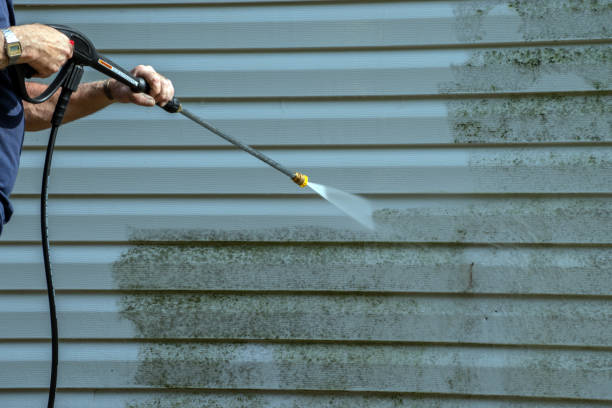 Best Exterior Home Cleaning  in Angustura, NM