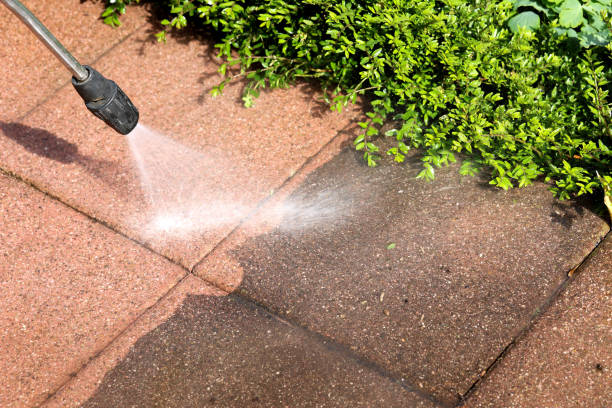 Best Sidewalk Pressure Washing  in Angustura, NM