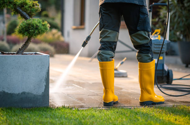 Best Sidewalk Pressure Washing  in Angustura, NM
